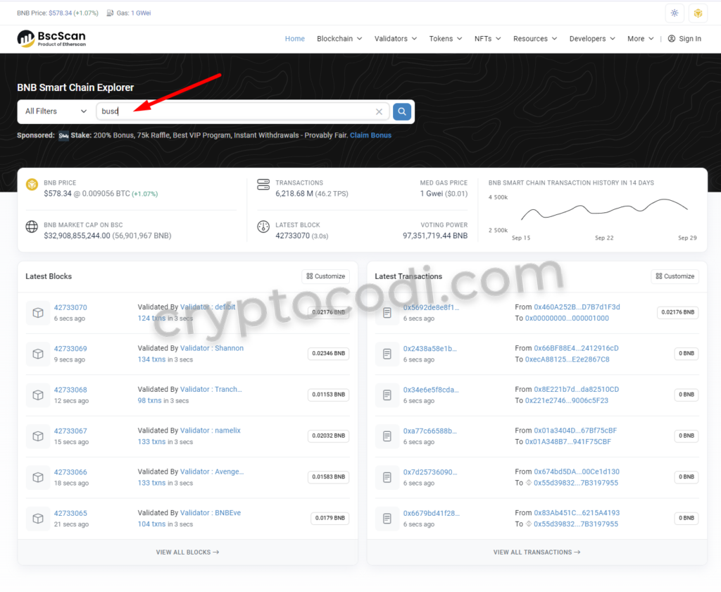 MetaMask - Додавання токенів, токен BUSD